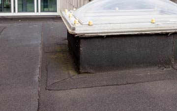disadvantages of Lower Bartle flat roofs