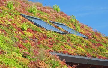 Lower Bartle living roof systems