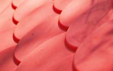 Lower Bartle plastic roof costs