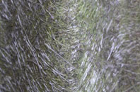 Lower Bartle fibreglass roof work